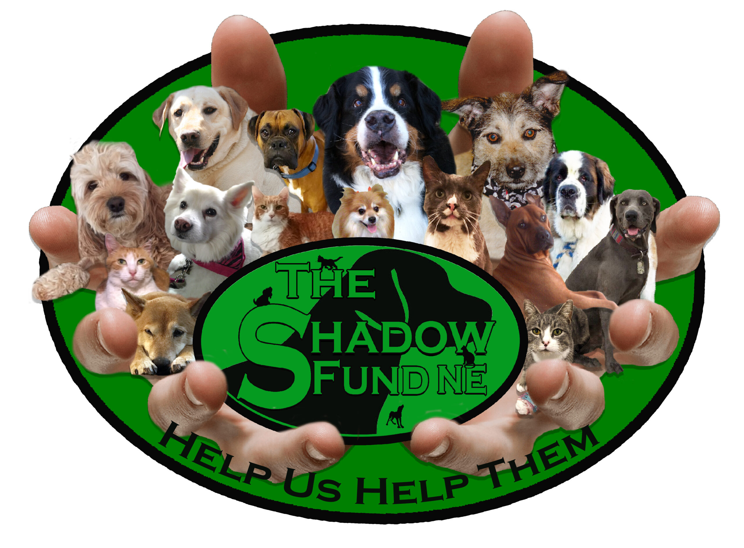 The Shadow Fund NE